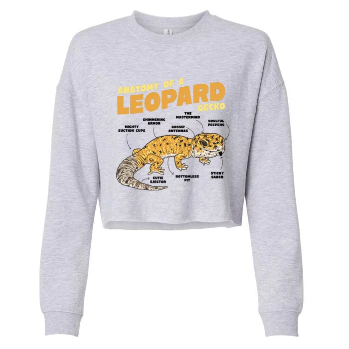 Leopard Gecko Anatomy Cropped Pullover Crew