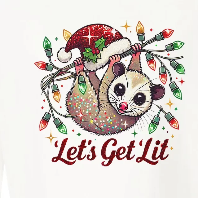 LetS Get Lit Drinking Santa Hat Funny Christmas Opossum Cropped Pullover Crew