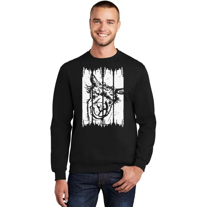 Llama Head Alpaca Llama Farmer Llama Farm Llama Tall Sweatshirt