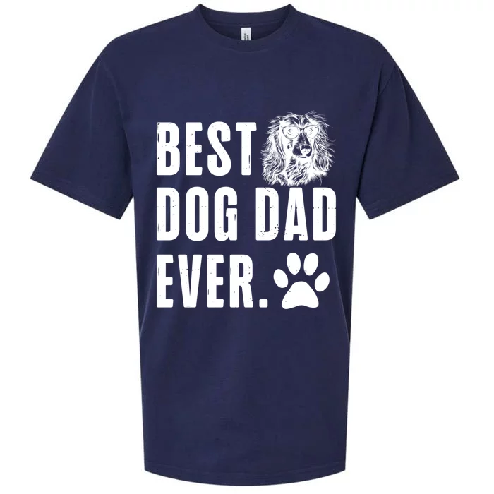 Long Haired Dachshund Daddy Dad Best Dog Dad Ever Gift Sueded Cloud Jersey T-Shirt