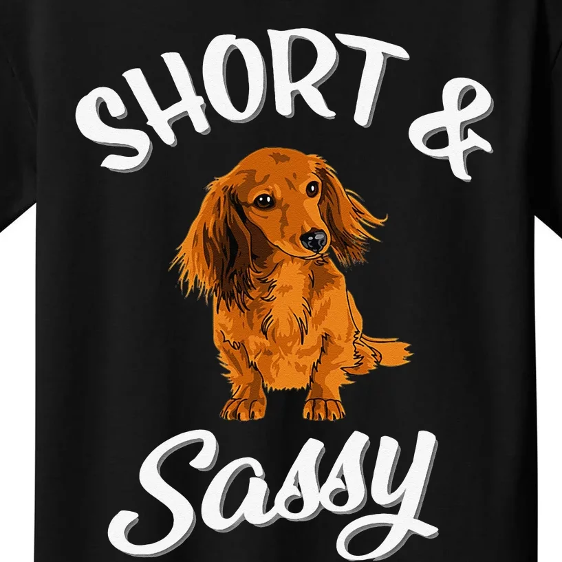 Long Haired Dachshund funny animal lovers Kids T-Shirt