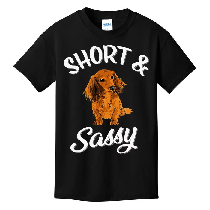 Long Haired Dachshund funny animal lovers Kids T-Shirt