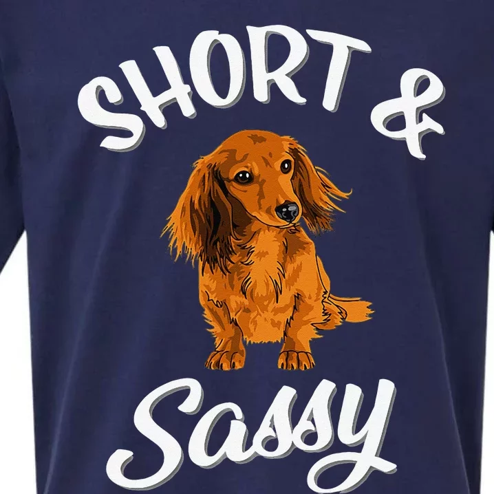 Long Haired Dachshund funny animal lovers Sueded Cloud Jersey T-Shirt