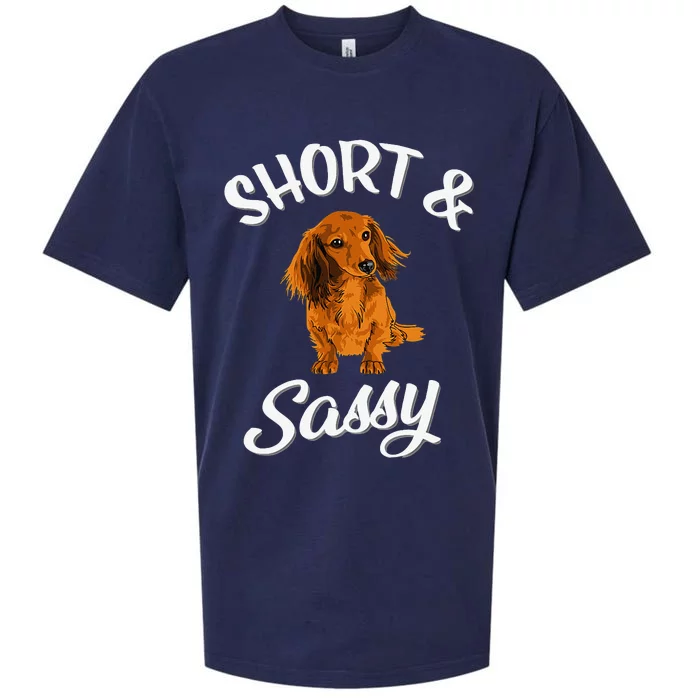 Long Haired Dachshund funny animal lovers Sueded Cloud Jersey T-Shirt