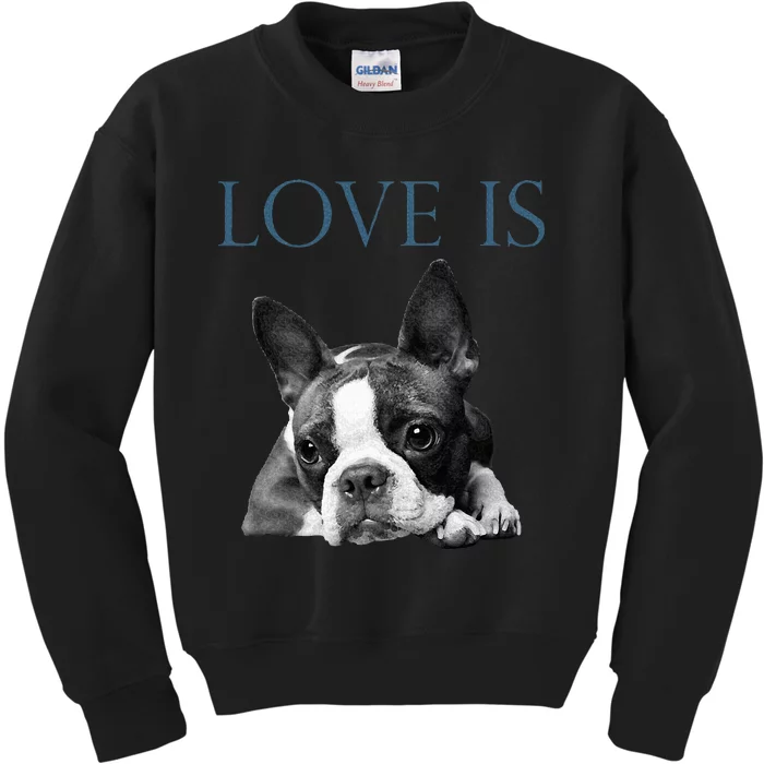 Love Is Boston Terrier Bostie Kids Sweatshirt