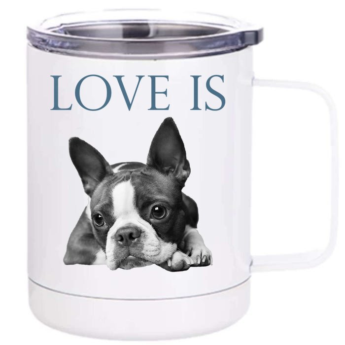 Love Is Boston Terrier Bostie Front & Back 12oz Stainless Steel Tumbler Cup