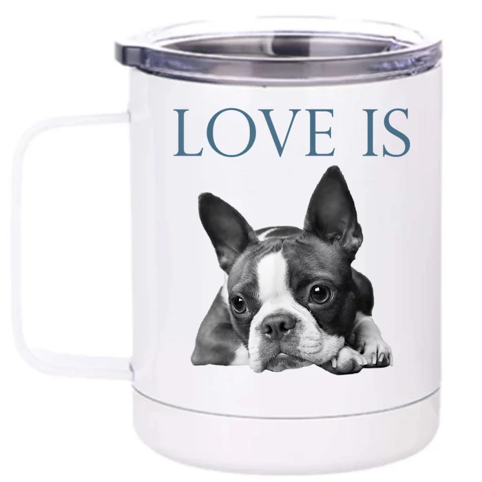 Love Is Boston Terrier Bostie Front & Back 12oz Stainless Steel Tumbler Cup