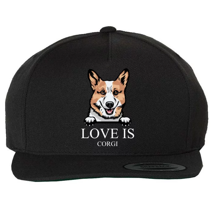 Love Is Corgi Dog Wool Snapback Cap