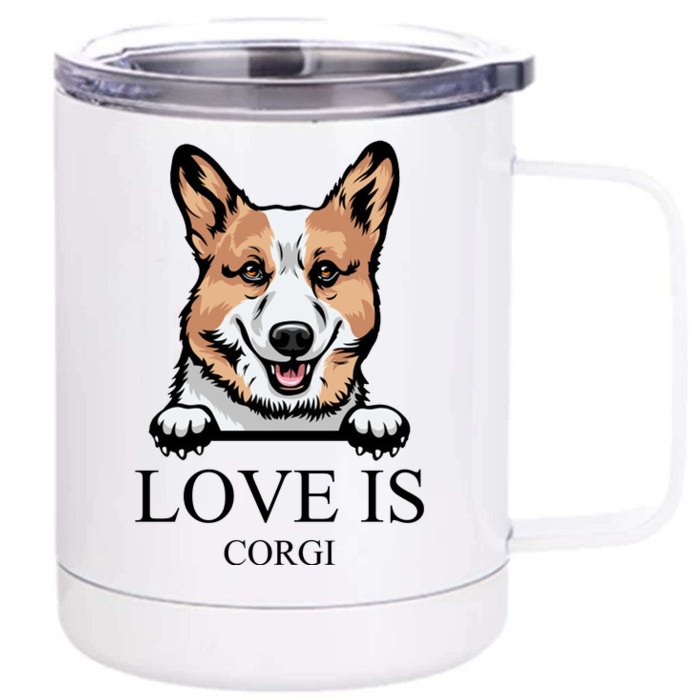 Love Is Corgi Dog Front & Back 12oz Stainless Steel Tumbler Cup