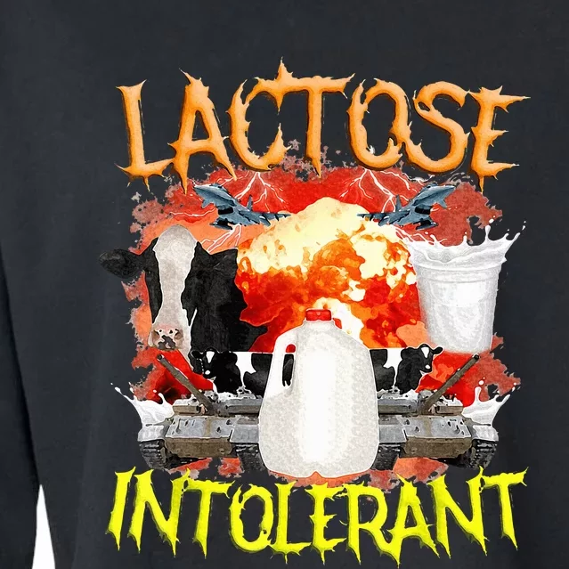 Lactose Intolerant Funny Sarcasm Oddly Specific Cropped Pullover Crew