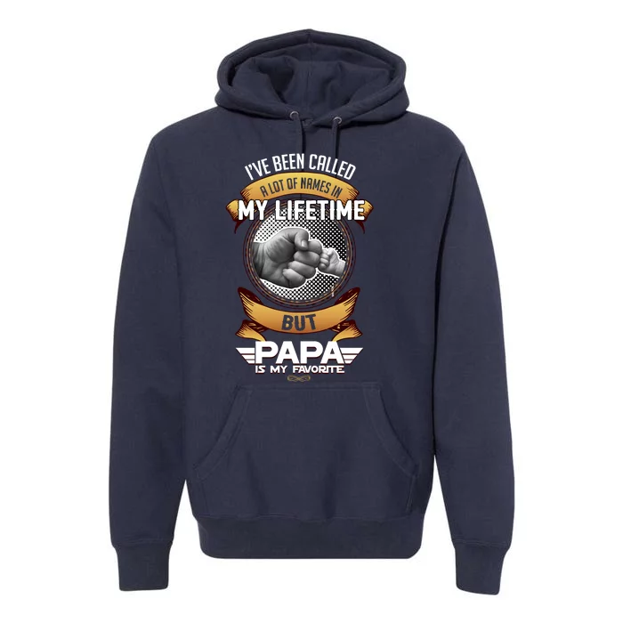 Lifetime Papa Premium Hoodie