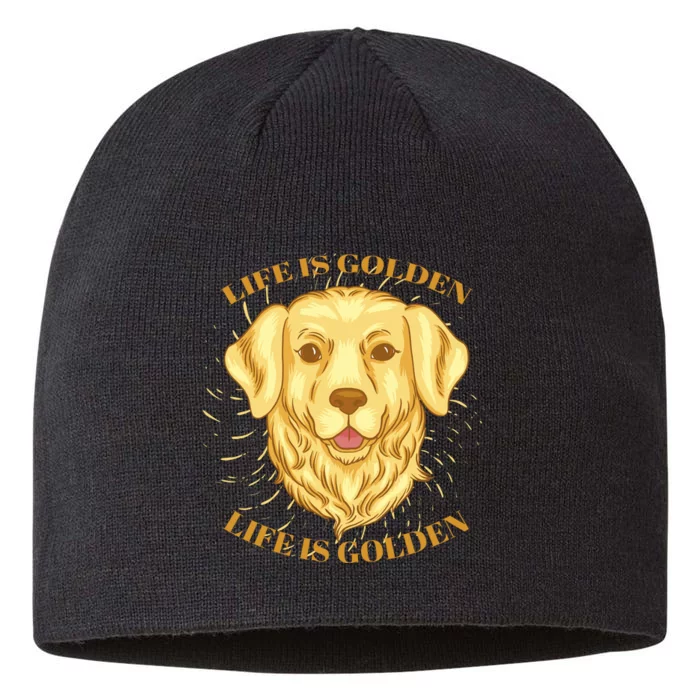 Life Is Golden Dog 8 1/2in Sustainable Knit Beanie