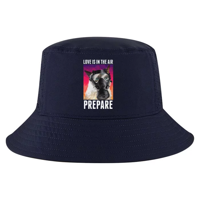 Love Is In The Air Prepare Funny Cats Valentine's Day Cool Comfort Performance Bucket Hat