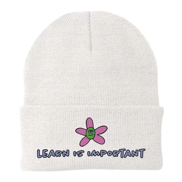 Learn Is Important Knit Cap Winter Beanie