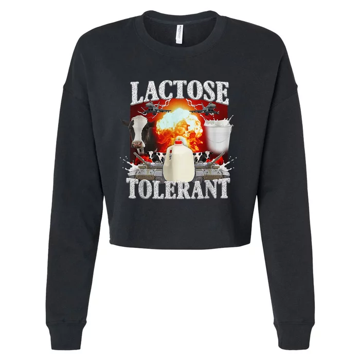 Lactose Intolerant Cropped Pullover Crew