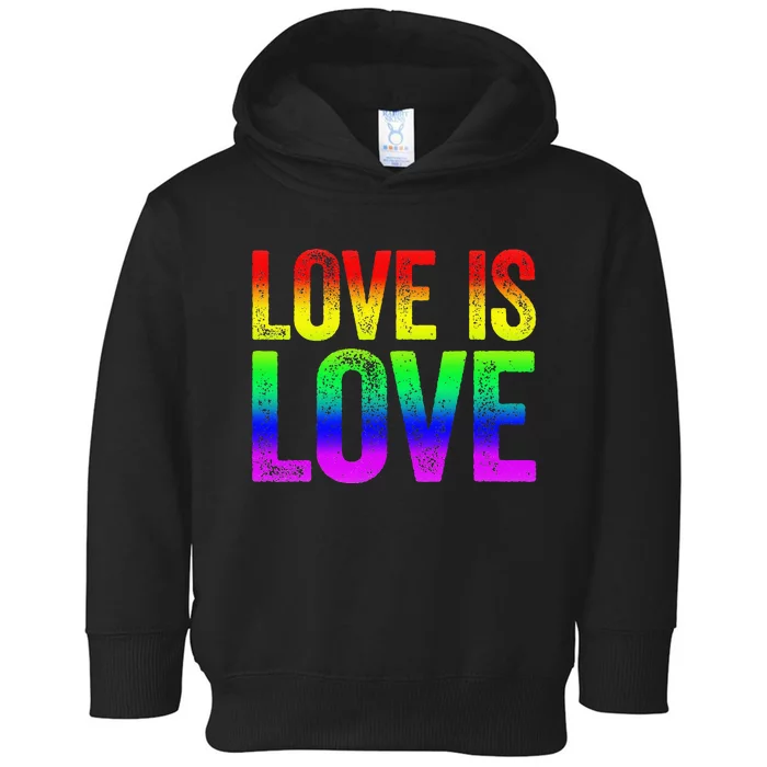 Love Is Love Toddler Hoodie