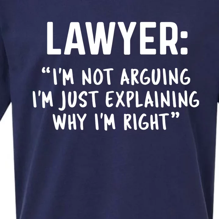 Lawyer Im Not Arguing Funny Lawyer Gift Graduation Gift Sueded Cloud Jersey T-Shirt