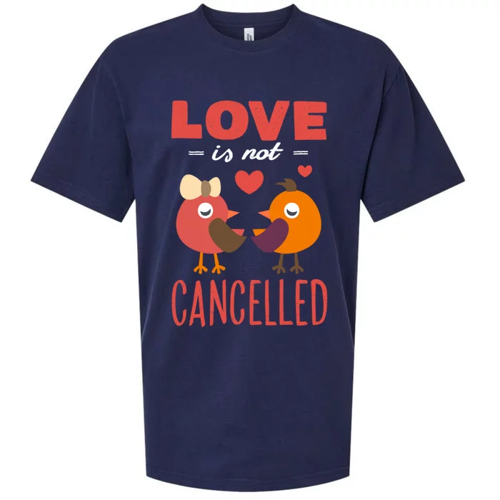 Love Is Not Cancelled Gift Outfit With Love Birds Gift Sueded Cloud Jersey T-Shirt