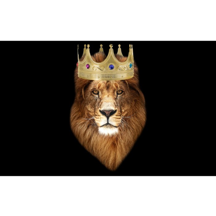 Lion Gold Crown King Of The Jungle Bumper Sticker