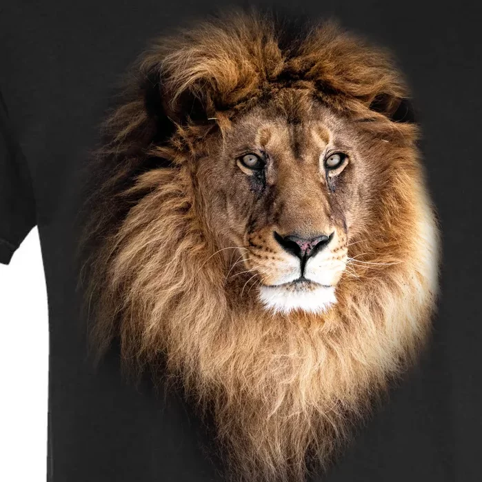 Lion Head Graphic Garment-Dyed Heavyweight T-Shirt