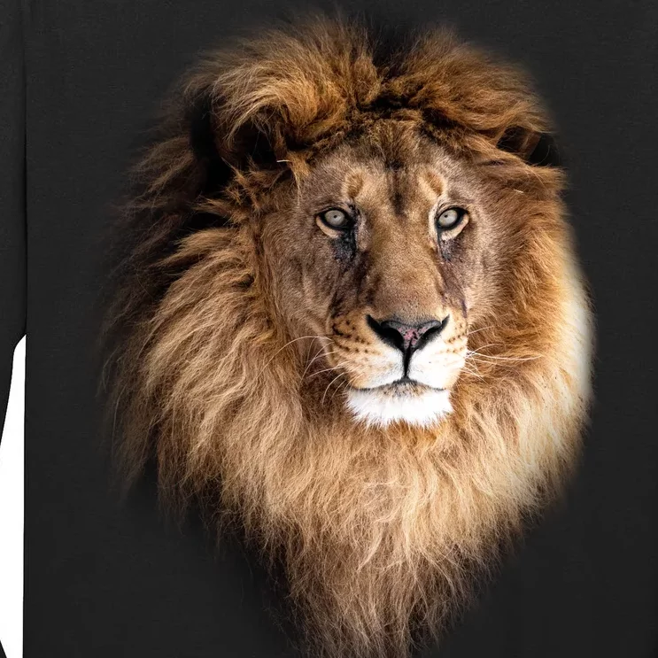 Lion Head Graphic Tall Long Sleeve T-Shirt