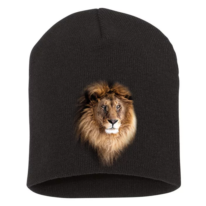 Lion Head Graphic Short Acrylic Beanie