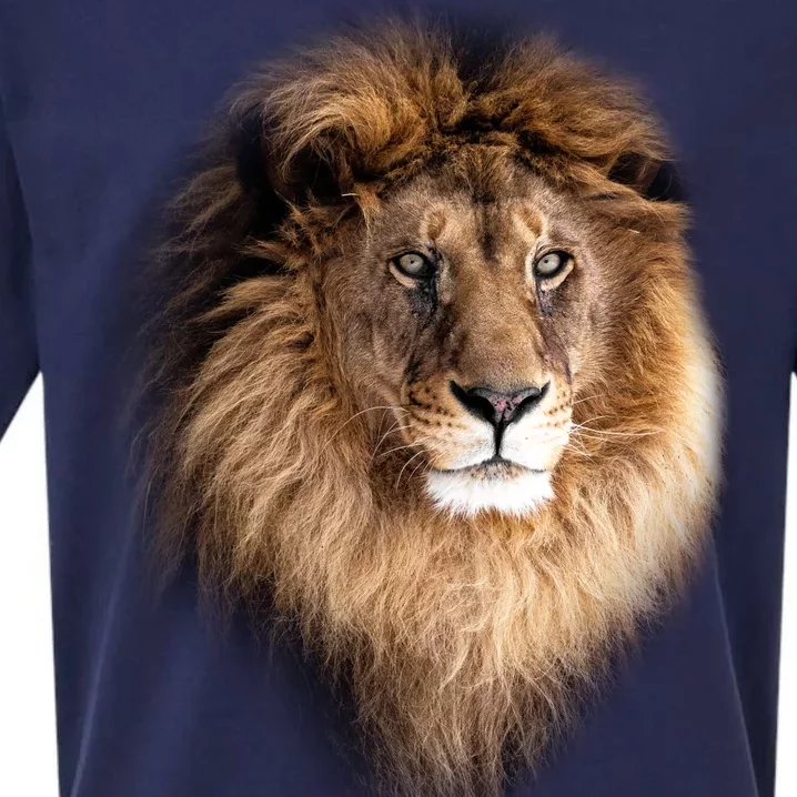 Lion Head Graphic Sueded Cloud Jersey T-Shirt