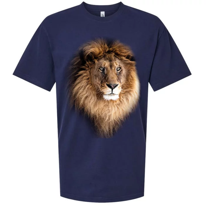 Lion Head Graphic Sueded Cloud Jersey T-Shirt