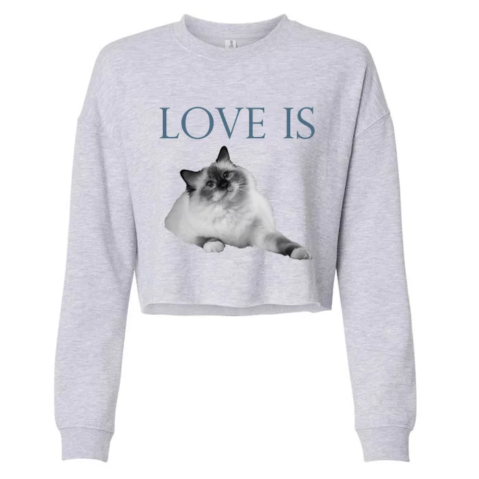 Love Is Ragdoll Cat Gift Cropped Pullover Crew