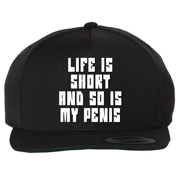 Life Is Short And So Is My Penis Humor Wool Snapback Cap