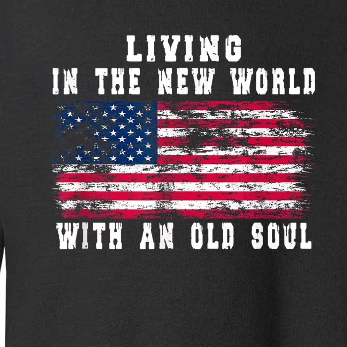 Living In The New World With An Old Soul America Flag Toddler Sweatshirt