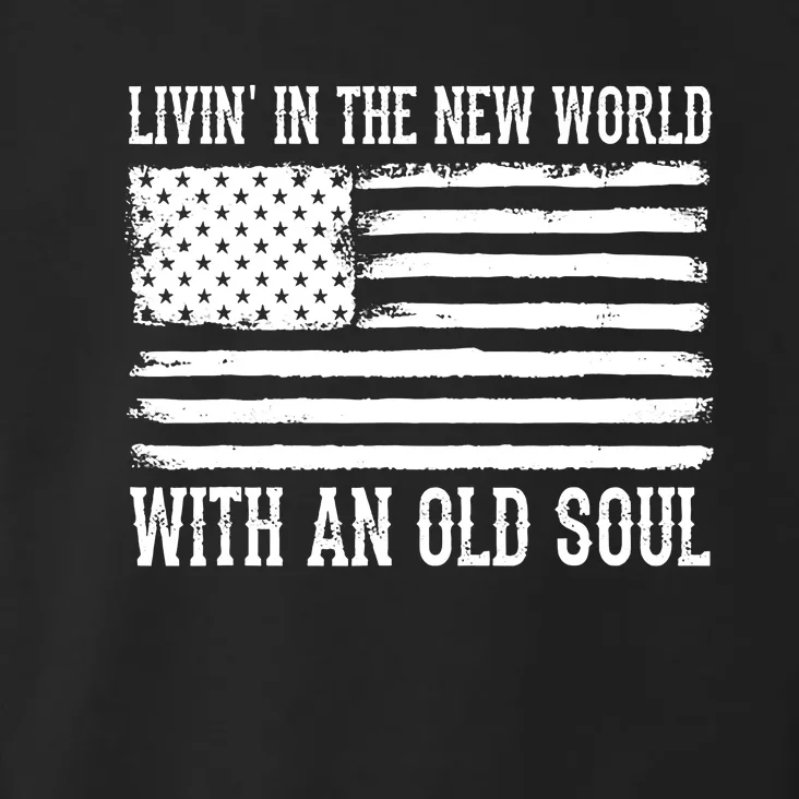 Living In The New World With An Old Soul America Flag Toddler Hoodie