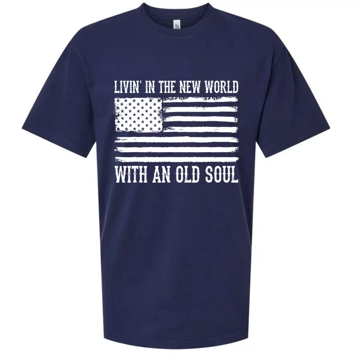 Living In The New World With An Old Soul America Flag Sueded Cloud Jersey T-Shirt