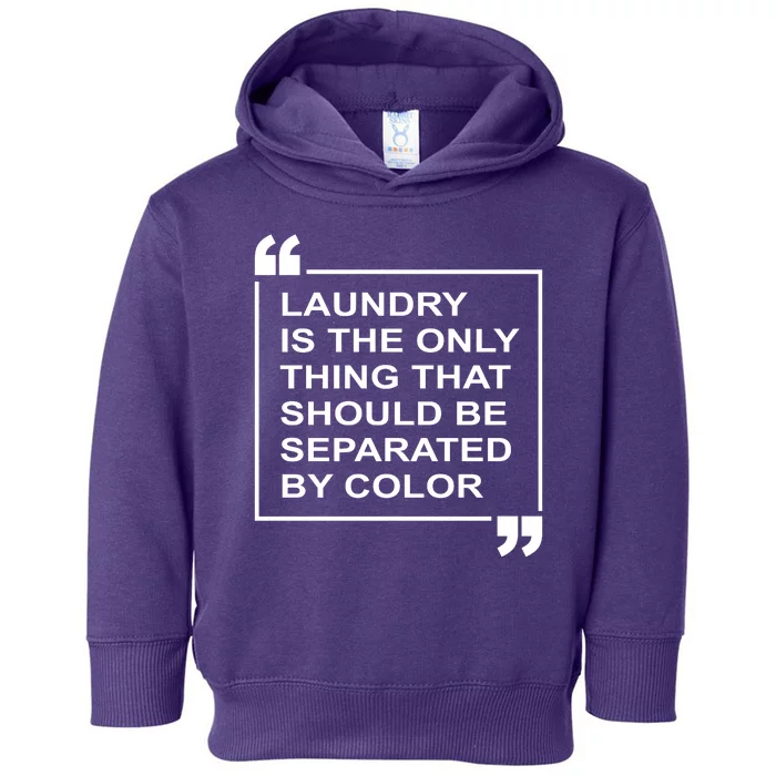 Laundry Is The Only Thing That Should Be Separated By Color Toddler Hoodie