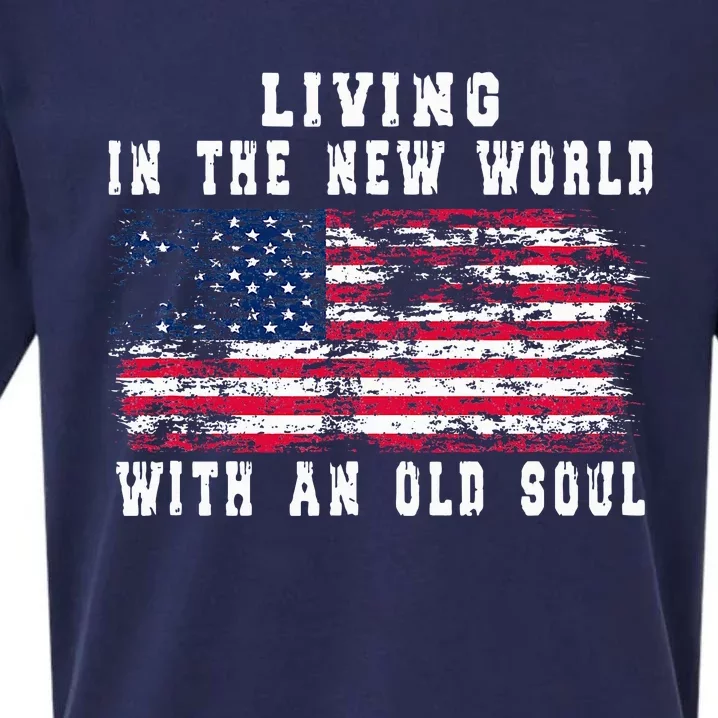 Living In The New World With An Old Soul America Flag Sueded Cloud Jersey T-Shirt