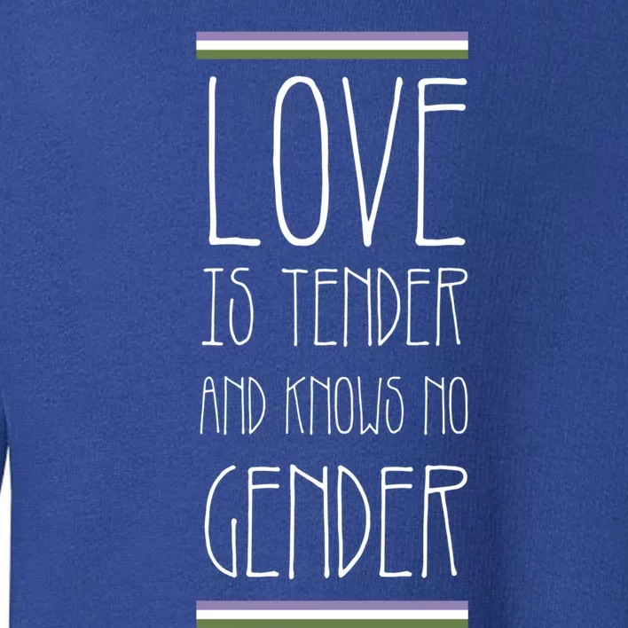 Love Is Tender And Knows No Gender Lgbt Genderqueer Pride Gift Toddler Sweatshirt