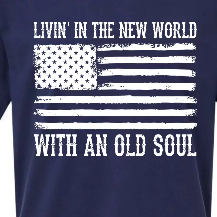 Living In The New World With An Old Soul America Flag Sueded Cloud Jersey T-Shirt