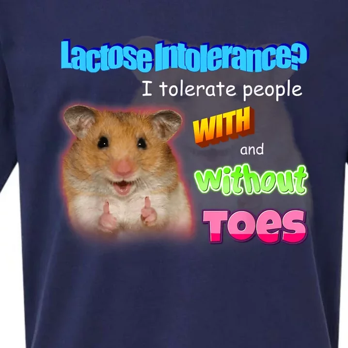 Lactose Intolerance Tolerate People With And Without Toes Meme Sueded Cloud Jersey T-Shirt