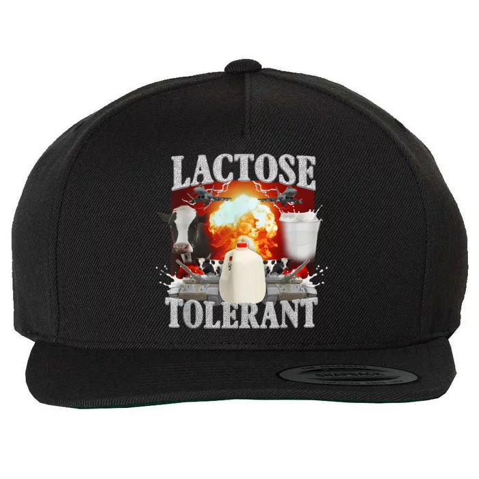 Lactose Intolerant Weird Specific Wool Snapback Cap