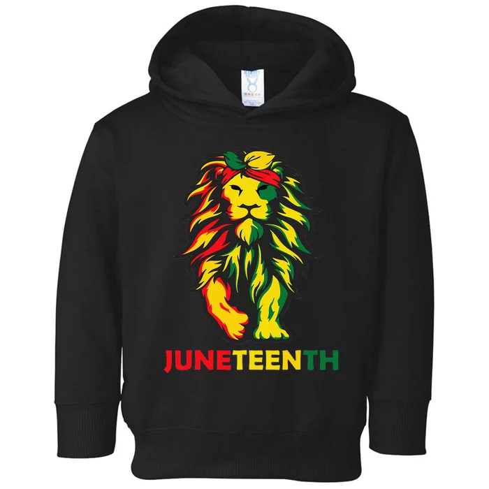 Lion Juneteenth Cool Black History African American Flag Toddler Hoodie