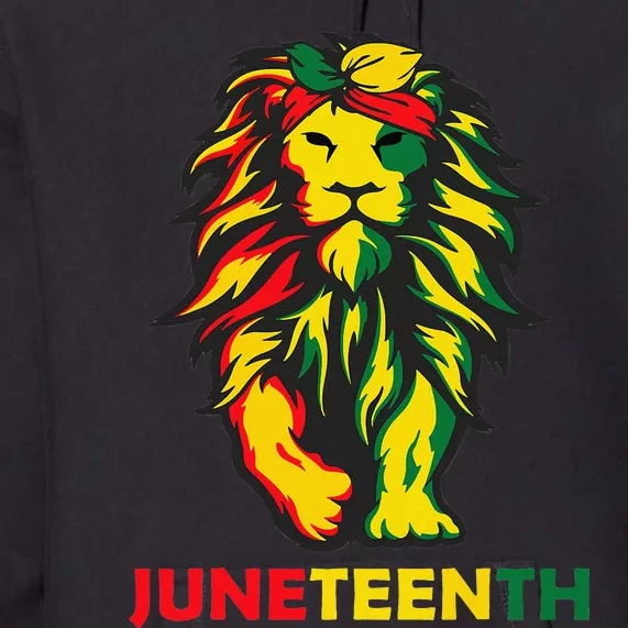 Lion Juneteenth Cool Black History African American Flag Premium Hoodie