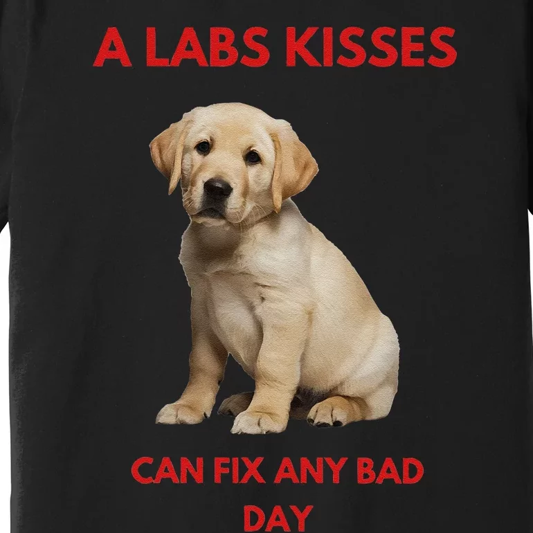 Labs Kisses Can Fix Any Bad Day! Premium T-Shirt