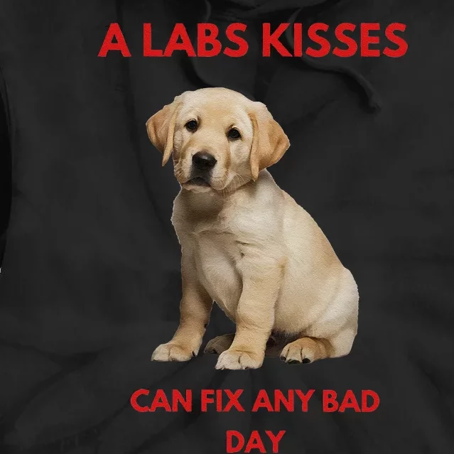 Labs Kisses Can Fix Any Bad Day! Tie Dye Hoodie