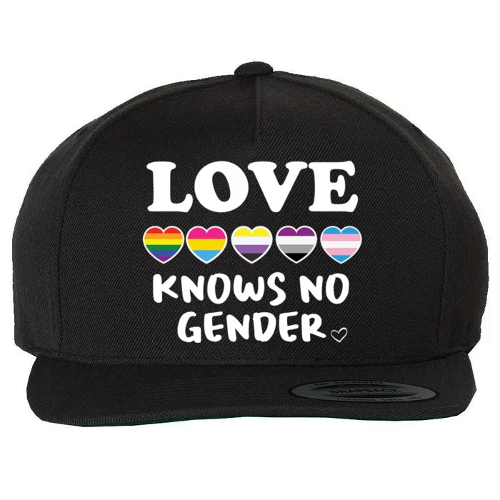 Love Knows No Gender Gift Lgbtq Pride Love Knows No Gender Funny Gift Wool Snapback Cap