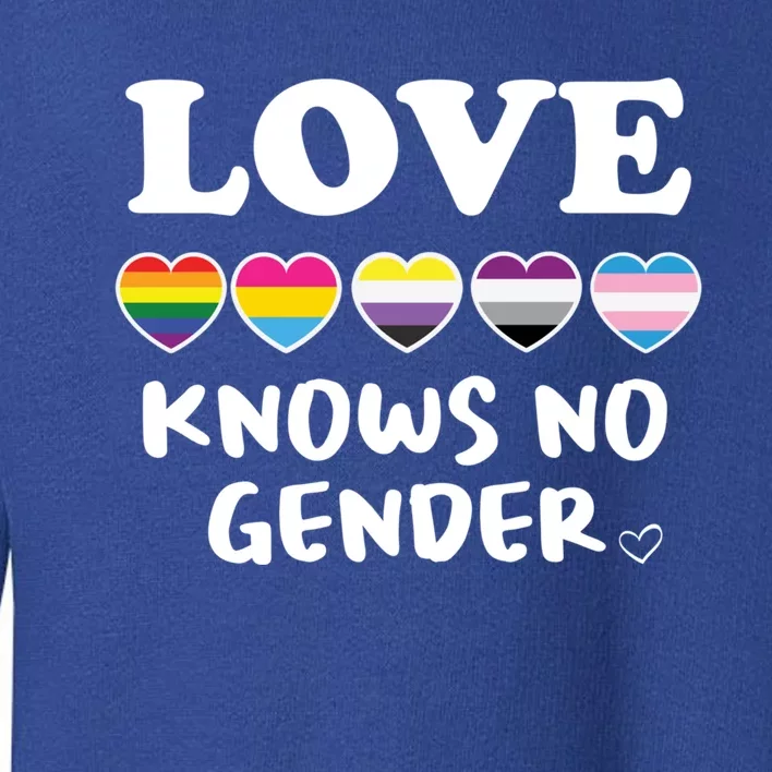 Love Knows No Gender Gift Lgbtq Pride Love Knows No Gender Funny Gift Toddler Sweatshirt