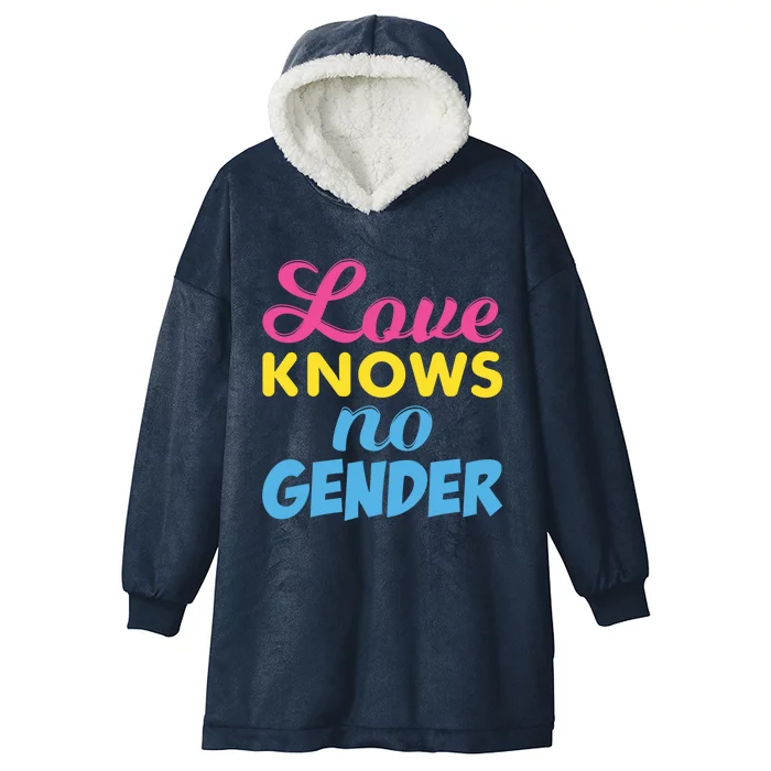 Love Knows No Gender Pan Pride Pansexual Flag Gift Hooded Wearable Blanket