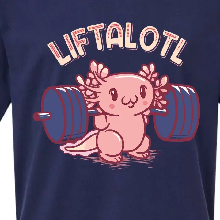 Liftalotl Lifting Axolotl Weightlifting Gym Workout Girl Boy Sueded Cloud Jersey T-Shirt