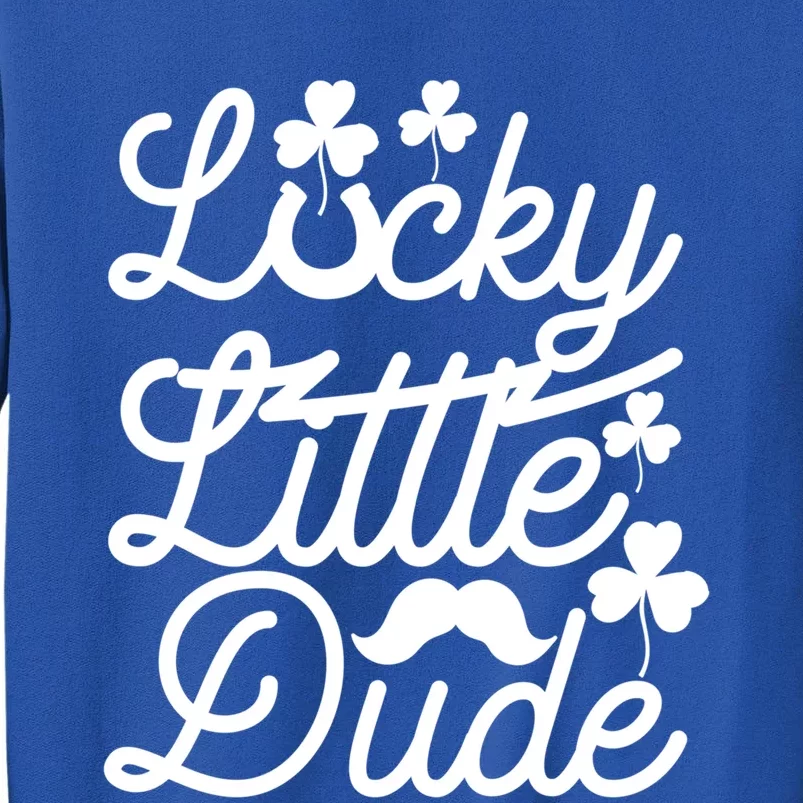 Lucky Little Dude Funny Graphic St Patricks Day Funny Gift Funny Gift Sweatshirt