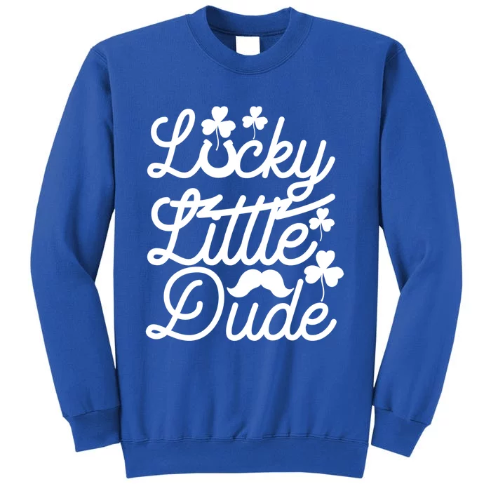 Lucky Little Dude Funny Graphic St Patricks Day Funny Gift Funny Gift Sweatshirt