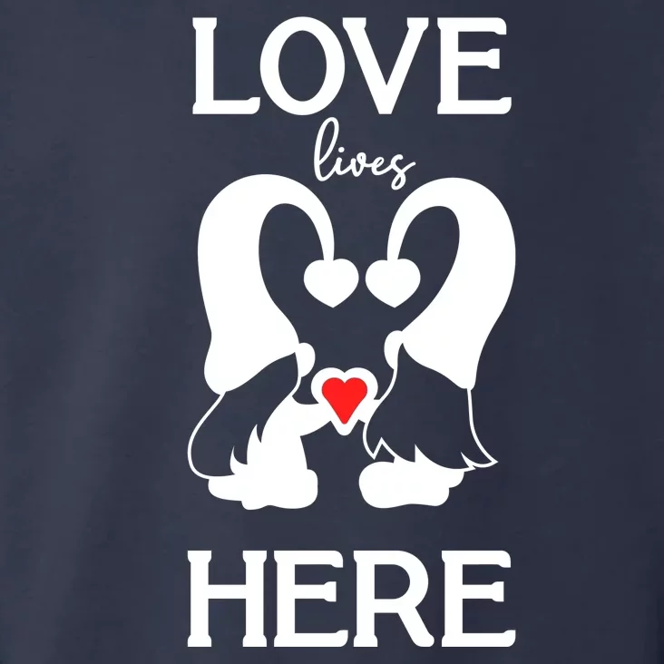 Love Lives Here Happy Valentines Gnome Heart Toddler Hoodie